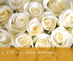 A Vintage Rose (Hammond)