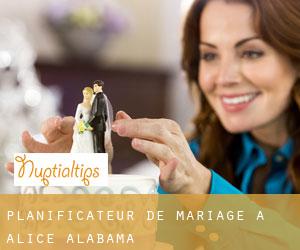 Planificateur de mariage à Alice (Alabama)