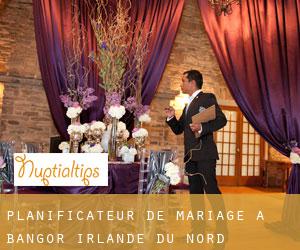 Planificateur de mariage à Bangor (Irlande du Nord) Planificateur de mariage à Bangor (Irlande du Nord)
