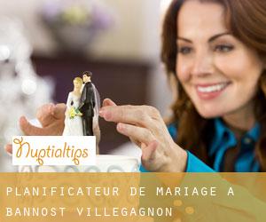 Planificateur de mariage à Bannost-Villegagnon