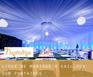 Lieux de mariage à Cailloux-sur-Fontaines