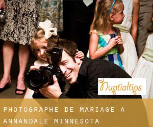 Photographe de mariage à Annandale (Minnesota)