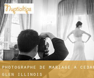 Photographe de mariage à Cedar Glen (Illinois)