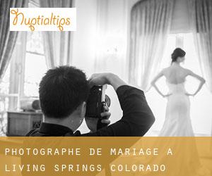 Photographe de mariage à Living Springs (Colorado)