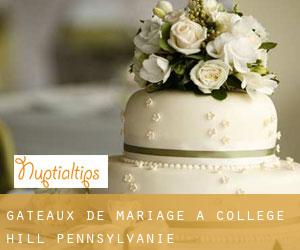 Gâteaux de mariage à College Hill (Pennsylvanie)