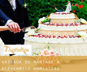 Gâteaux de mariage à Elevenmile Homestead