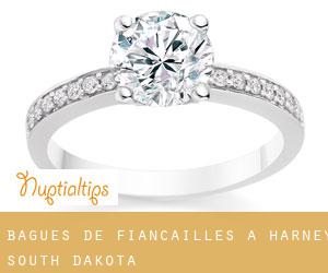 Bagues de fiançailles à Harney (South Dakota)