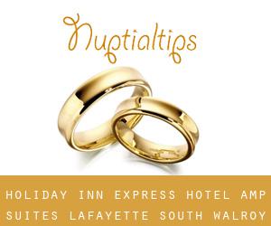 Holiday Inn Express Hotel & Suites Lafayette-South (Walroy)