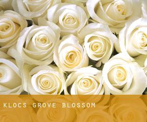 Kloc's Grove (Blossom)