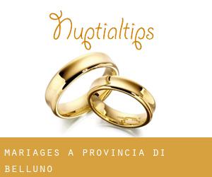 mariages à Provincia di Belluno mariages à Provincia di Belluno